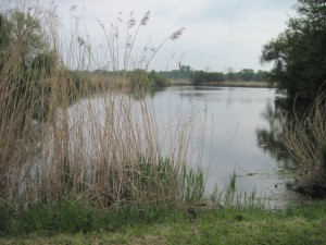 wilder-see-oben1 SICHT VON DER STRASSE NACH OBEN